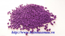 Hạt nhựa màu Tớm Purple 905